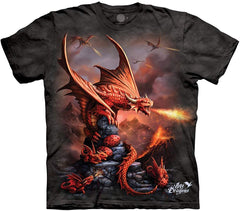 Men's Fire Dragon Tee Gray