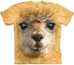 Big Face T shirt Alpaca Yellow