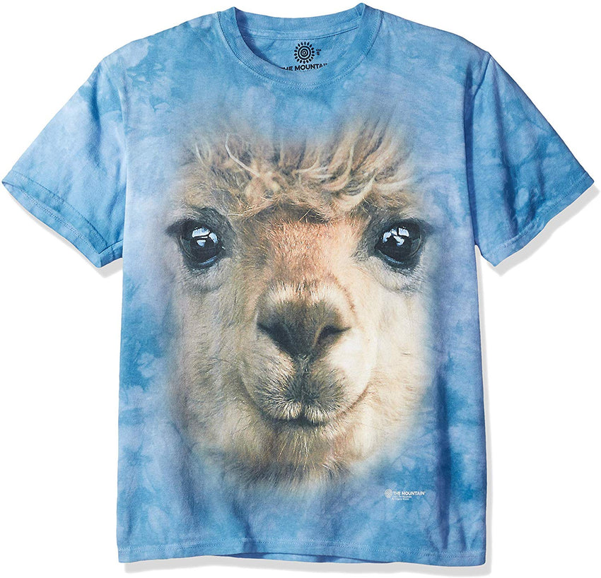 Big Face T shirt Alpaca Blue